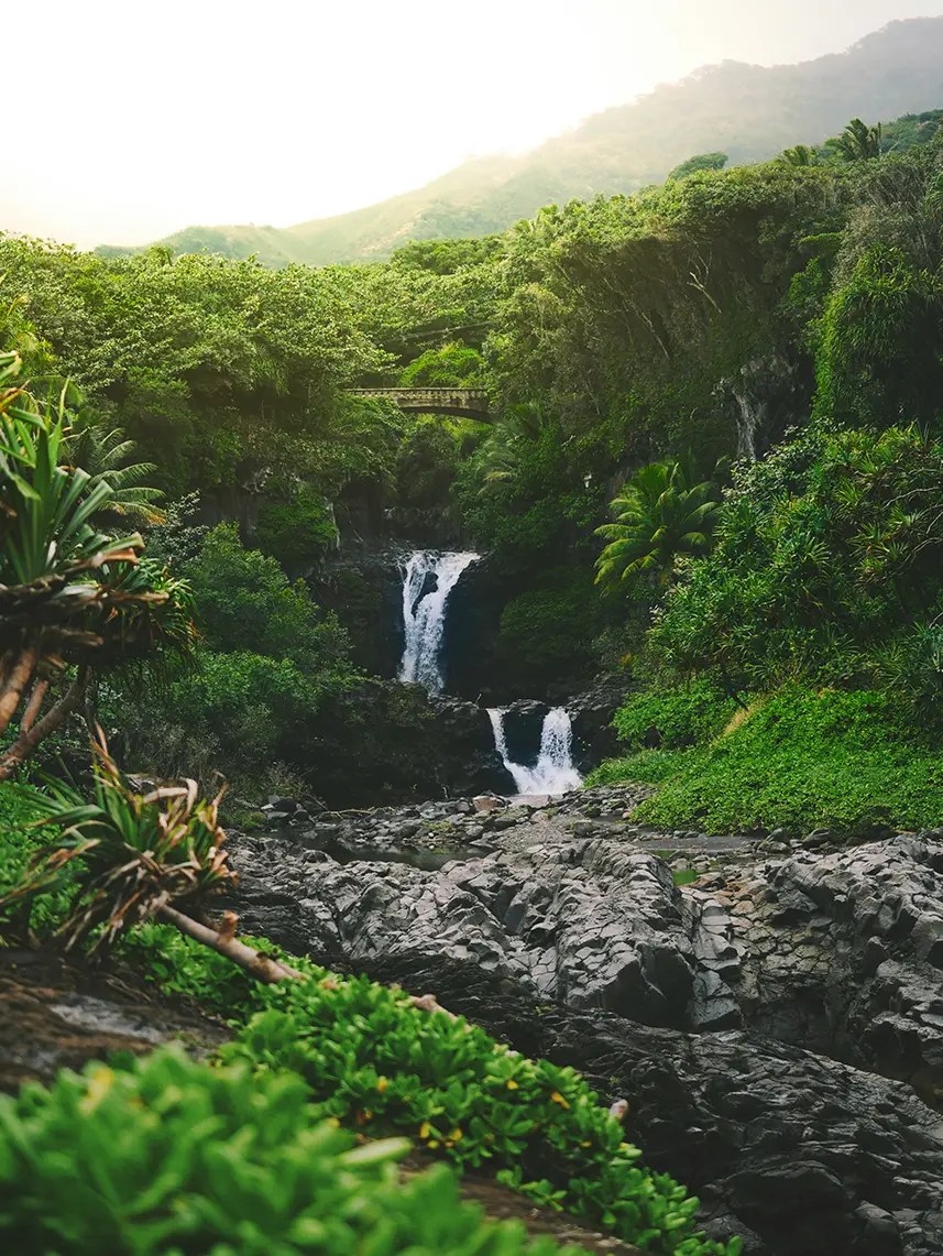hawaii_viaggi